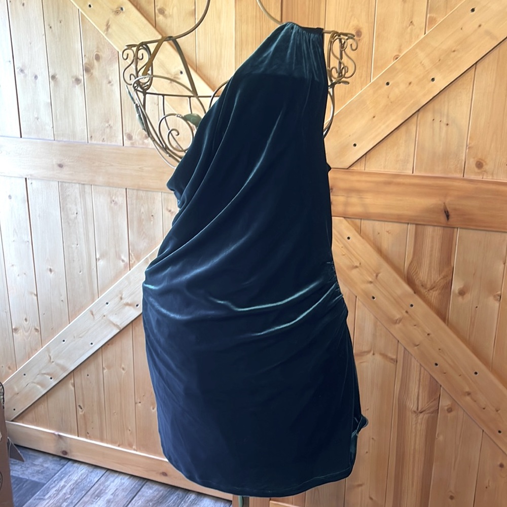 NOT FOR SALE


Stunning, one shoulder, velvet slip on mini dress